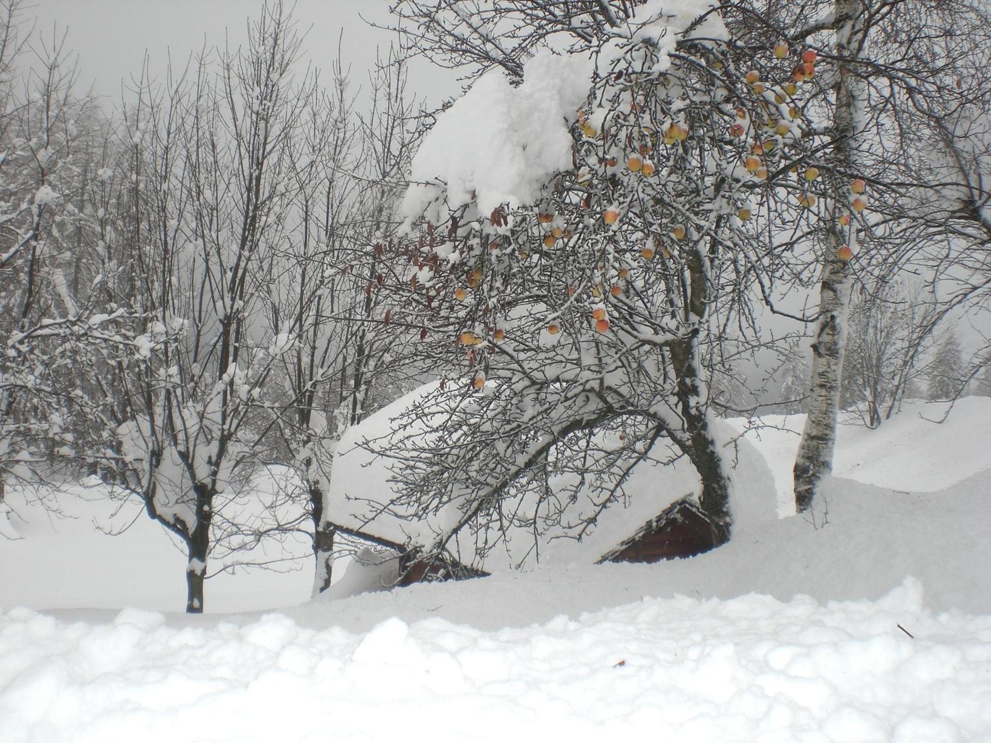 Baita Fraina Cortina d'Ampezzo Bagian luar foto